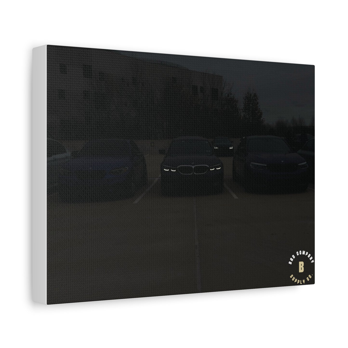 "The Look" Matte Canvas