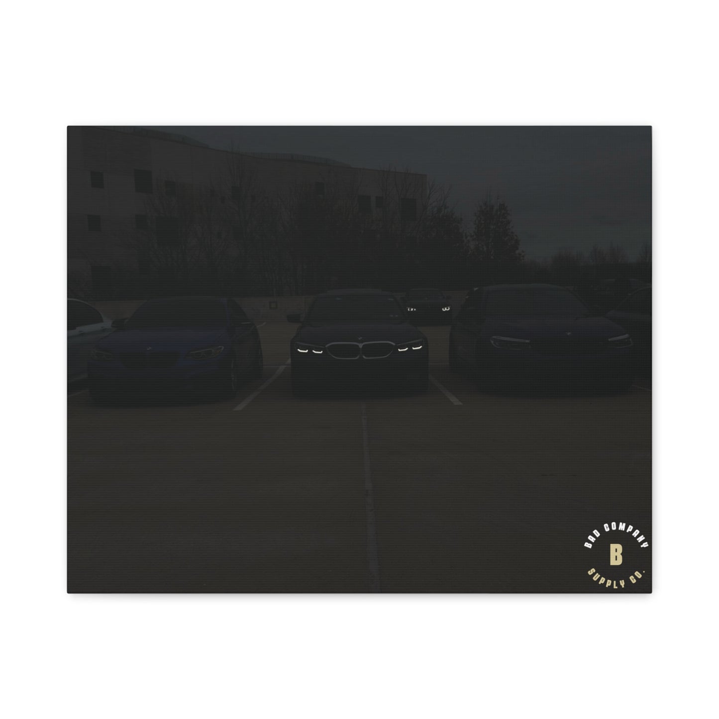 "The Look" Matte Canvas
