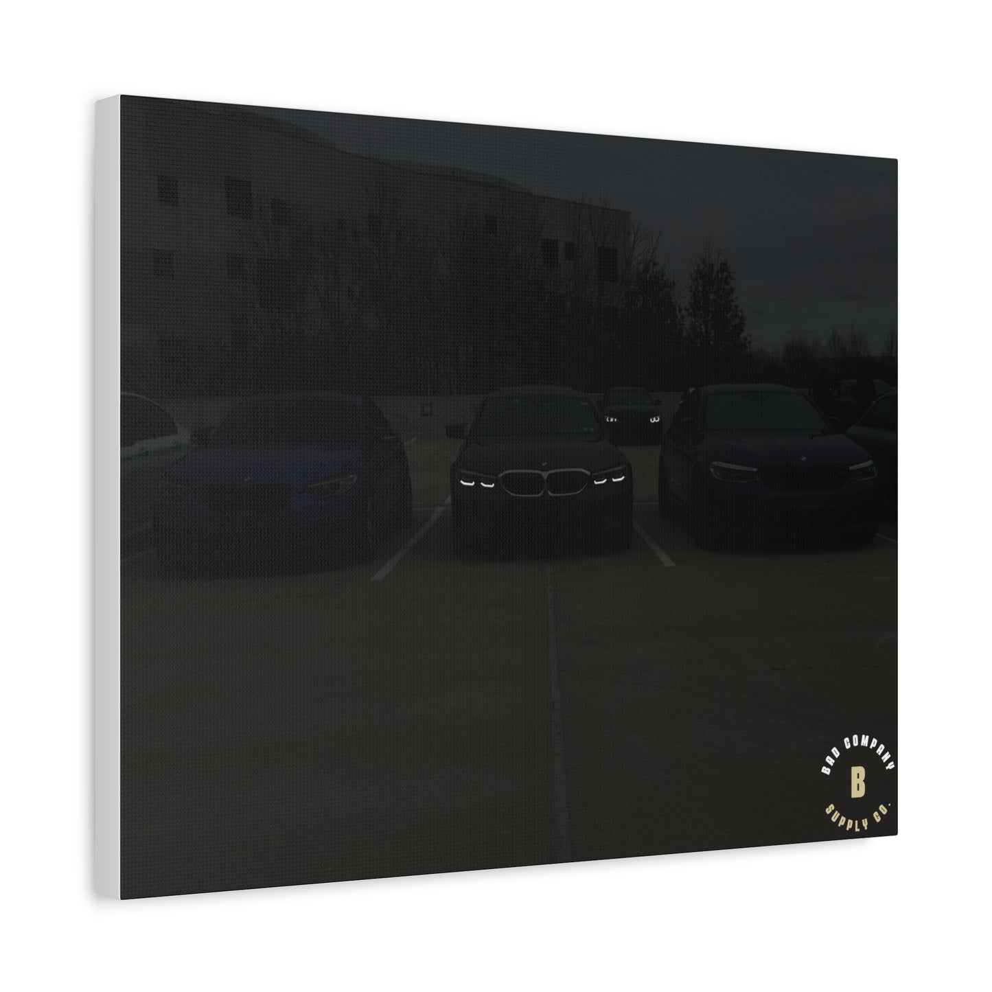 "The Look" Matte Canvas