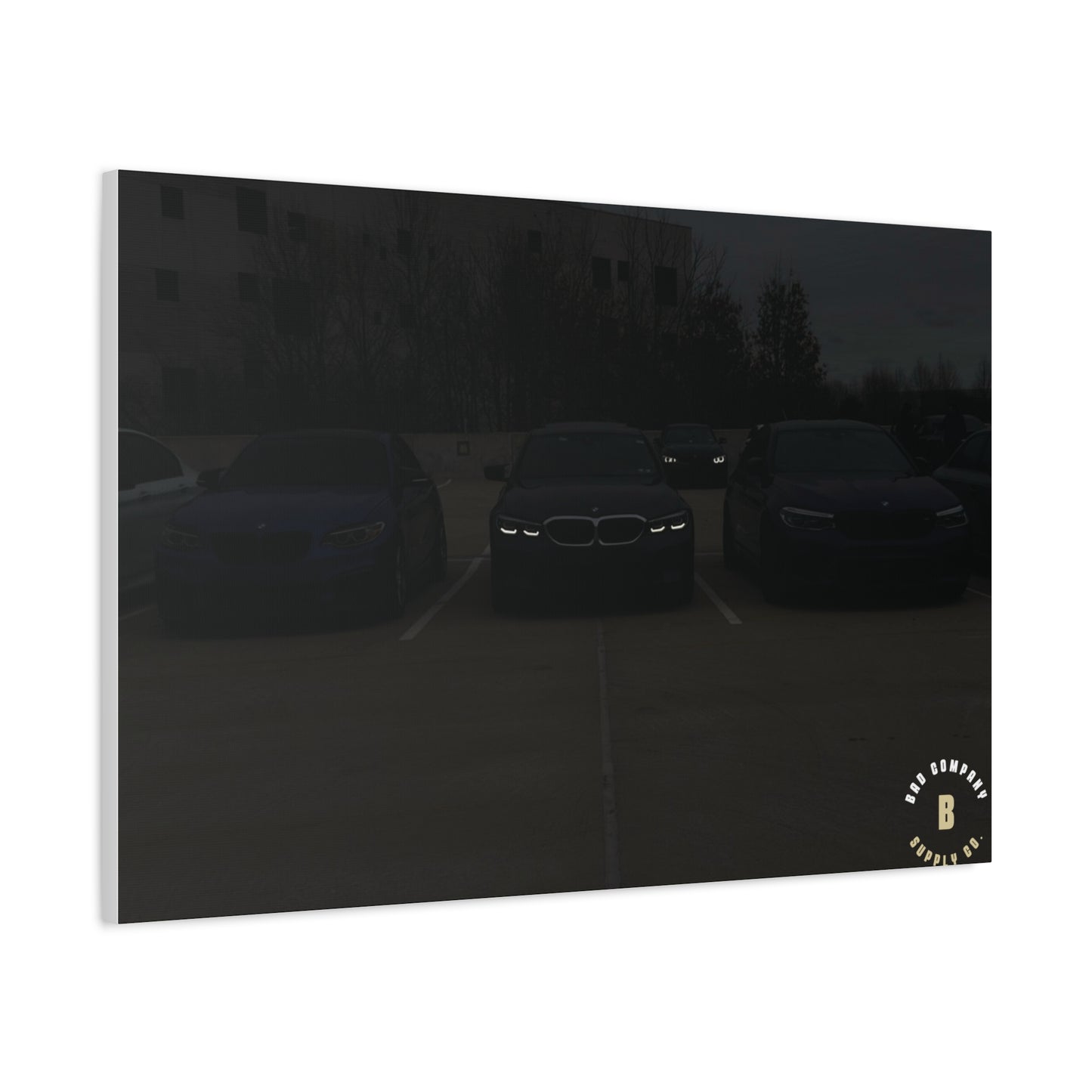 "The Look" Matte Canvas