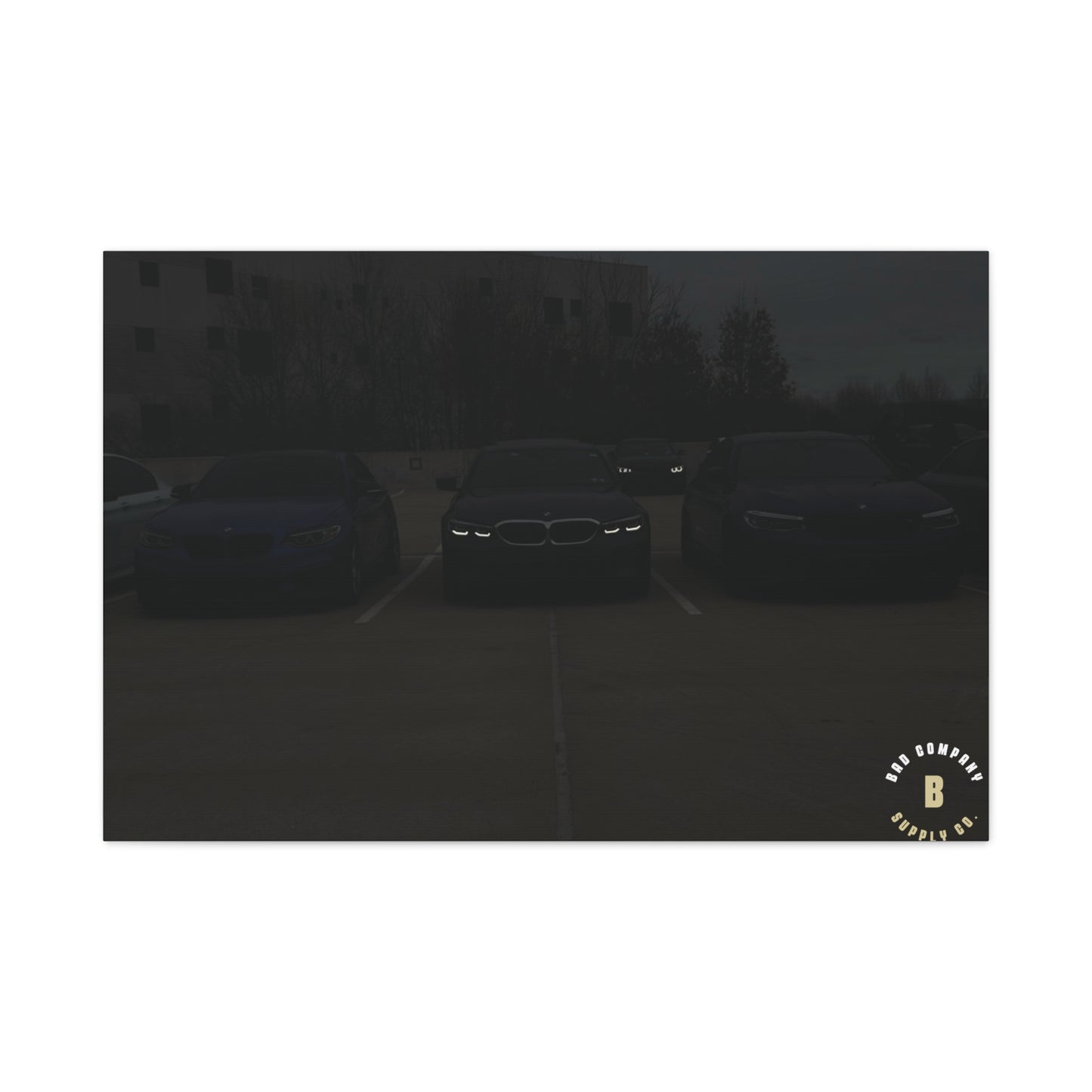 "The Look" Matte Canvas