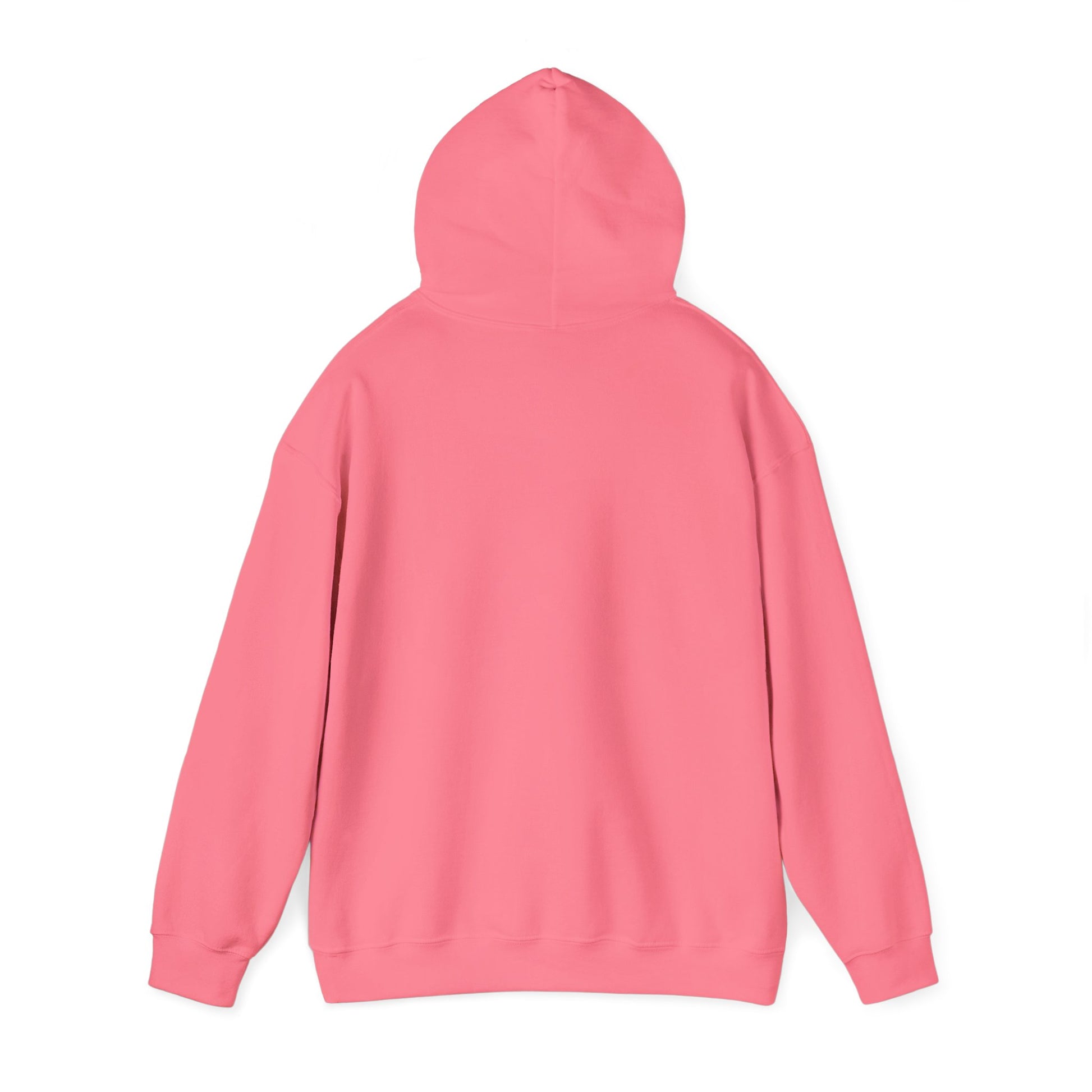 BAD COMPANY HOODIE FOR THE COLD - BAD COMPANY SUPPLY CO.