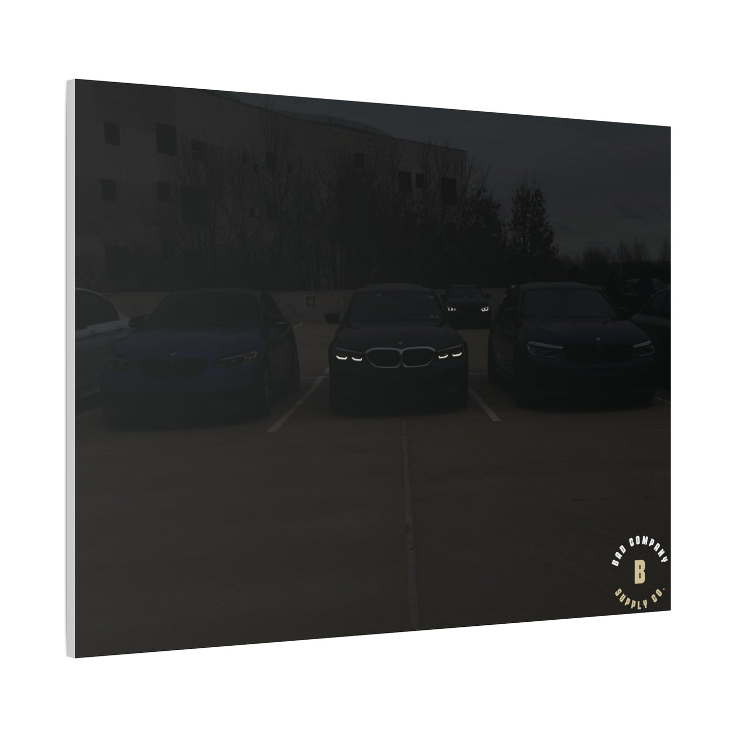 "The Look" Matte Canvas